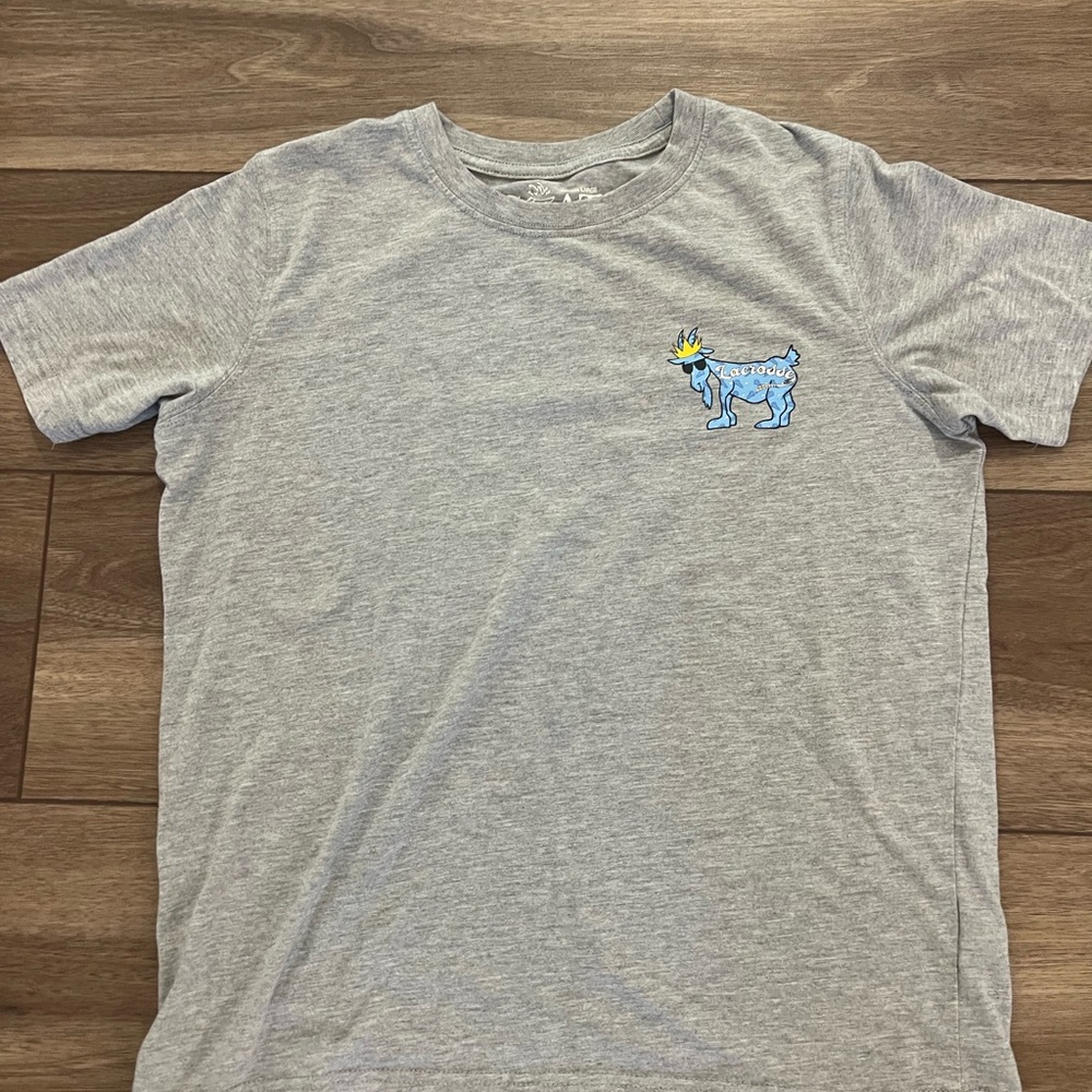 Gray T-Shirt with Blue Graphic